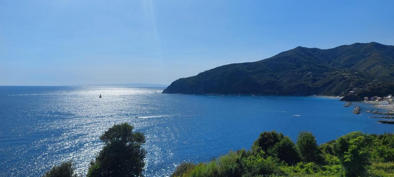 Appartamenti Enrica With Amazing View 莫内利亚 外观 照片