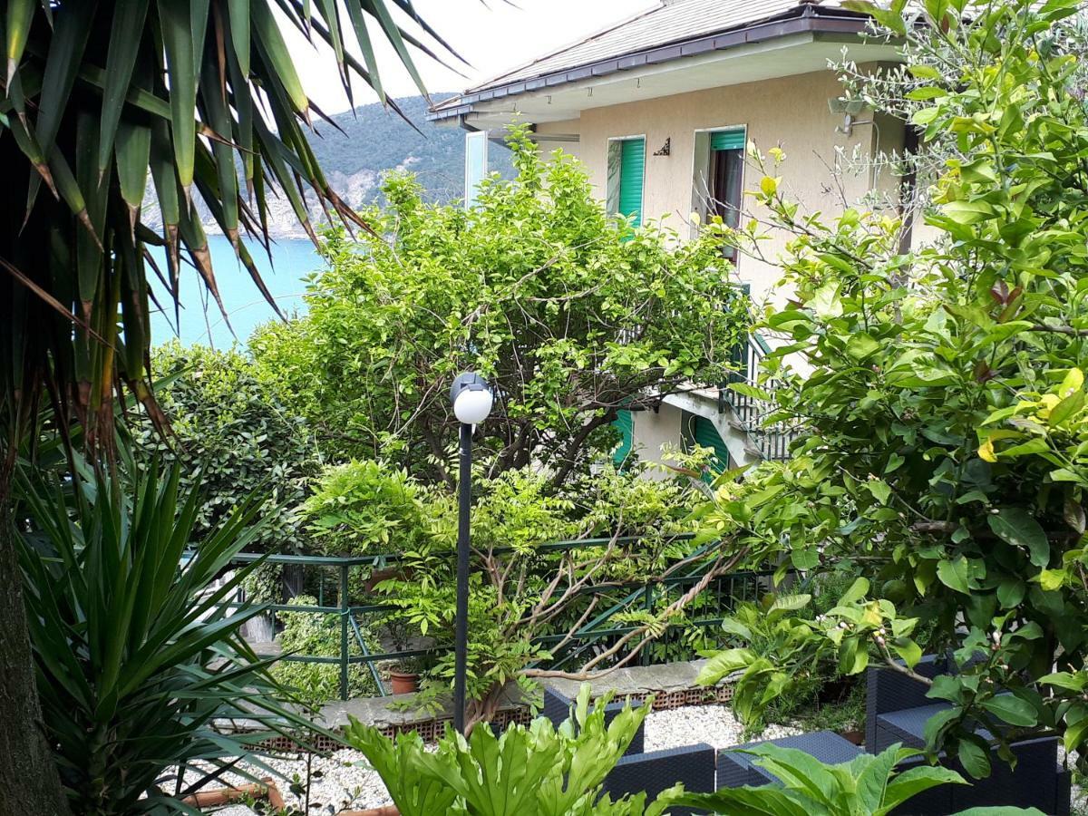 Appartamenti Enrica With Amazing View 莫内利亚 外观 照片